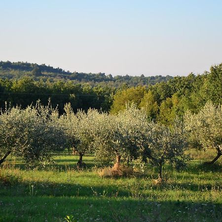 Villa Olivetta By Istrian Country Houses Barat  Exterior photo