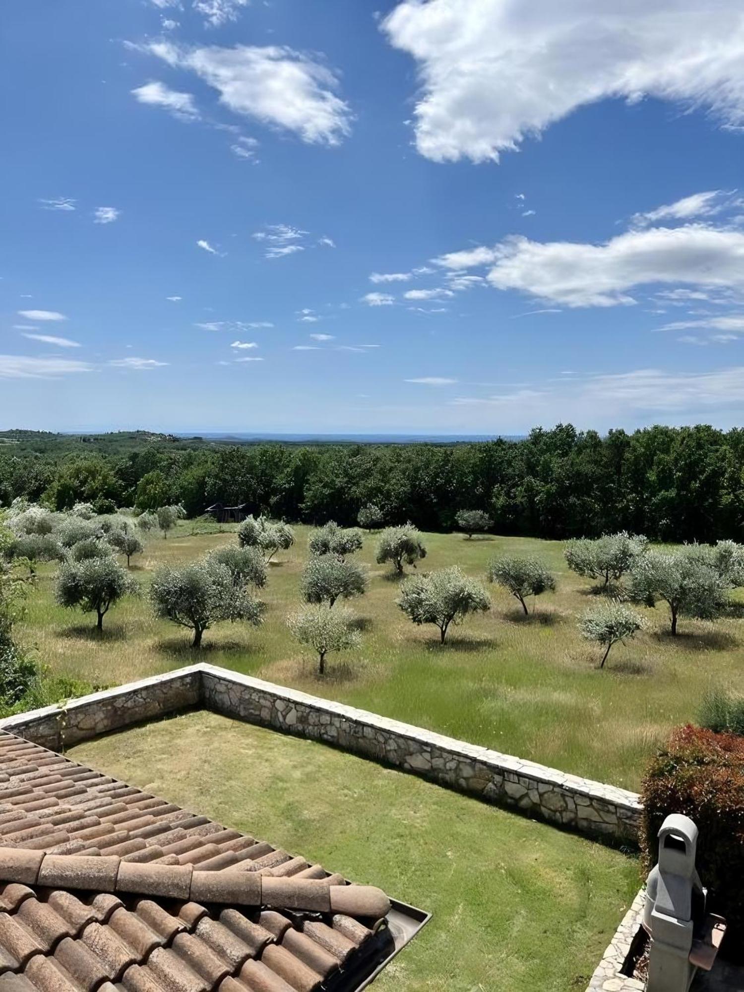 Villa Olivetta By Istrian Country Houses Barat  Exterior photo